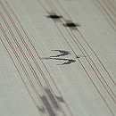 若葉色首里上布　　質感・風合