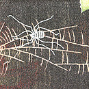 蜘蛛の巣に落ち葉の羽織　質感・風合
