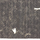 経縞にトンボ、ジョーゼットの単衣 上前