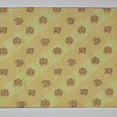 インドダッカ名古屋帯　前中心