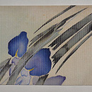 菖蒲の図絽縮緬名古屋帯　前中心