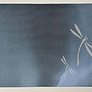 墨暈しに蜻蛉の図名古屋帯　前中心