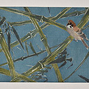 竹林の雀の図名古屋帯　前中心