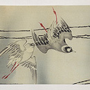 百舌鳥の図名古屋帯 前中心