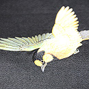 梅枝に小鳥刺繍帯　小鳥の刺繍