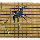 柳に燕刺繍名古屋帯 前中心