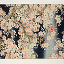 夜桜の名古屋帯 前中心