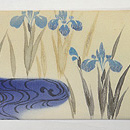 流水に菖蒲の図名古屋帯　前中心