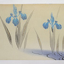 流水に菖蒲の図名古屋帯　前中心