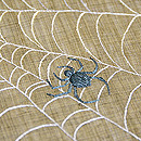 クモの刺繍名古屋帯　質感・風合