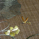 糸瓜（へちま）と蜂の刺繍名古屋帯　質感・風合