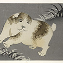 二匹のむく犬の図名古屋帯 前中心