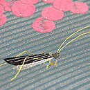 夏の果物にコオロギ刺繍名古屋帯 質感・風合
