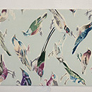 小鳥の染名古屋帯 前中心