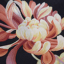 大輪菊袷小紋　質感・風合