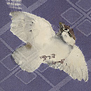 竹に雀袷羽織　質感・風合