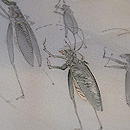 虫の行列 単衣の訪問着　質感・風合