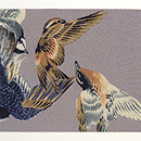 小鳥たちの図縮緬名古屋帯 前中心