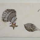 海辺に貝殻刺繍紗名古屋帯　前中心