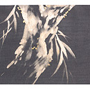 柳にセミの夏帯 前中心