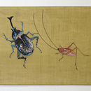 虫の刺繍帯 前中心