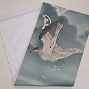 大空に鳩染名古屋帯 帯裏