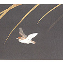 雀と瓢箪名古屋帯　前中心