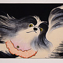 飛び跳ねるチンの名古屋帯 前中心