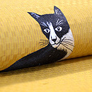 黒猫とバラの花名古屋帯　質感・風合