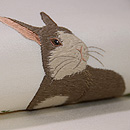 ウサギとクローバー名古屋帯　質感・風合