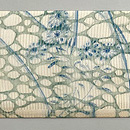 水面に萩と葛、ススキの刺繍絽名古屋帯　前柄