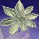 濃紫に青楓とやつで文様色留袖