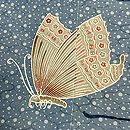 松原工房 網目ドットに揚羽蝶文様袷付下