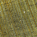 浦野理一作 縦節細縞単衣