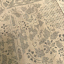 本場結城 100亀甲 練り色植物文様袷