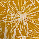 山吹色乱菊文の小紋袷