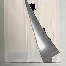 白地に黒猫の付下