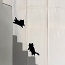 白地に黒猫の付下