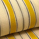 レモンイエロー縞の錦紗袷