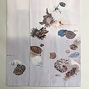 白地貝尽くし文様付下