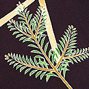 橋掛文様の付下