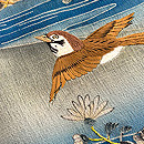 四季花鳥文様曙染めの色留袖