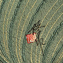 ふくれ織袋帯 銘入り　質感・風合