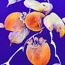 江戸柿の染め名古屋帯　質感・風合