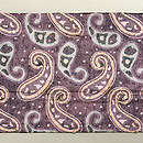 ペイズリー文様のサリーの帯　前柄