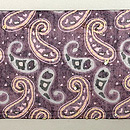 ペイズリー文様のサリーの帯　前柄