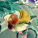 江戸紫牡丹におしどりの色留袖