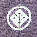 草花と波間に遊ぶ兎文様一つ紋色留