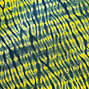 有松絞り暈しの単衣