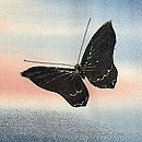 ぼかしに桜文様の小紋